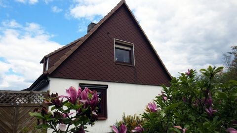 Elmshorn Häuser, Elmshorn Haus kaufen