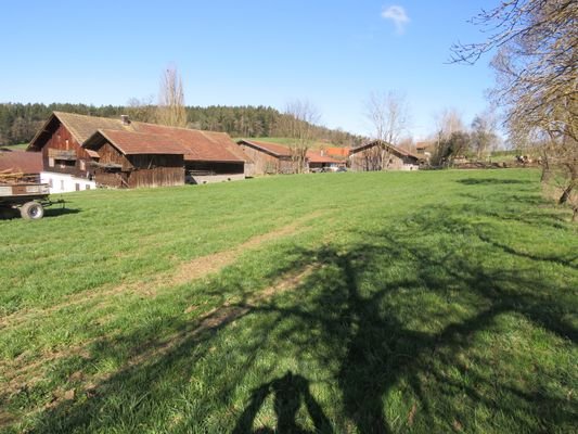 Grundstück Richtung Südosten  