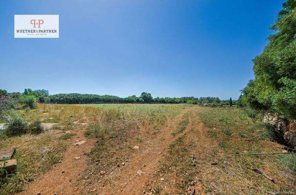 Grundstück Santa Margalida