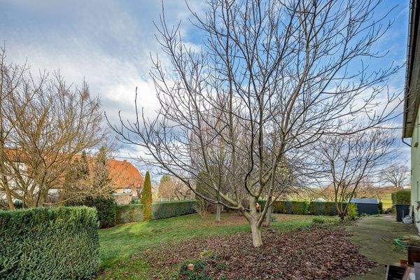 J2 - Blick in den Garten 2.jpg