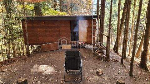 Pinggau Grundstücke, Pinggau Grundstück kaufen