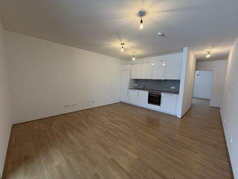 Wolfsburg Wohnungen, Wolfsburg Wohnung mieten