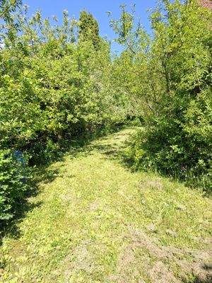 Uneinsehbar im Süden.jpg