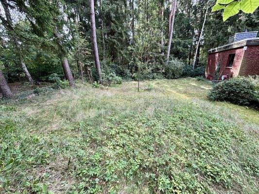 Ein Stück Freiheit zwischen Bäumen