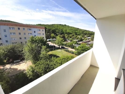 Blick vom Balkon in Richtung Süden