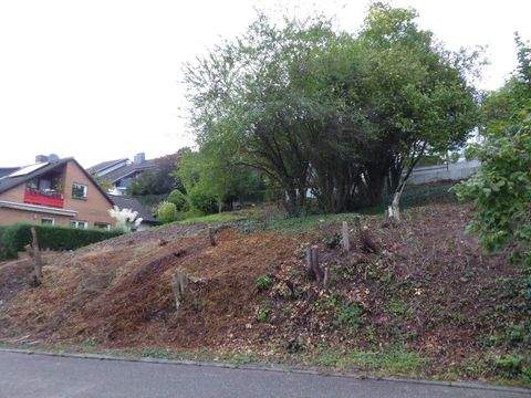 Neckargemünd Grundstücke, Neckargemünd Grundstück kaufen