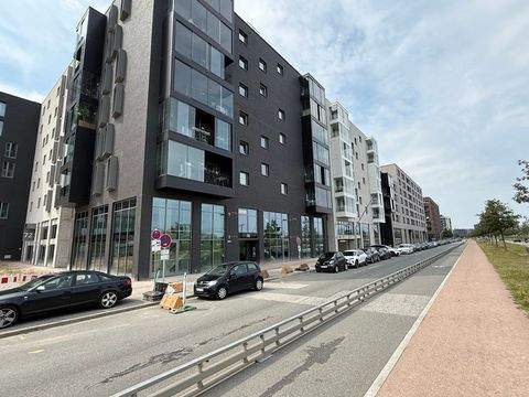 Hamburg Ladenlokale, Ladenflächen 