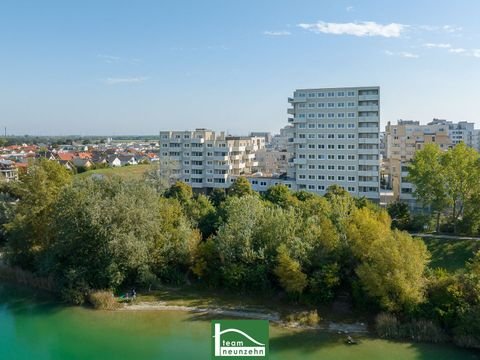 Wien Ladenlokale, Ladenflächen 