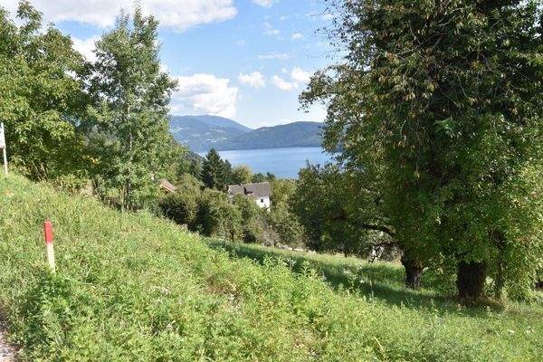 vermessenes Grundstück