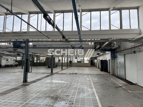 Oberrot Halle, Oberrot Hallenfläche