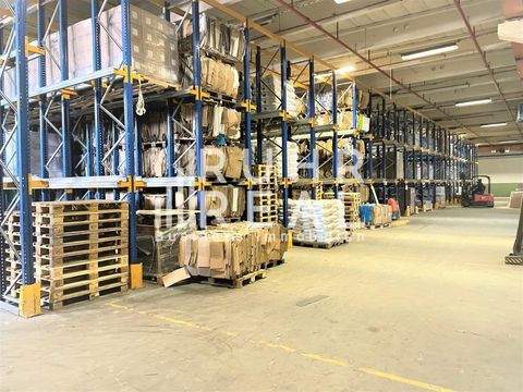 Viersen Halle, Viersen Hallenfläche