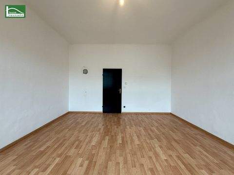 Wien Wohnungen, Wien Wohnung mieten