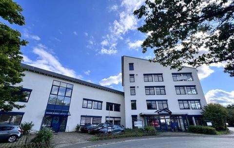 Pirna Halle, Pirna Hallenfläche