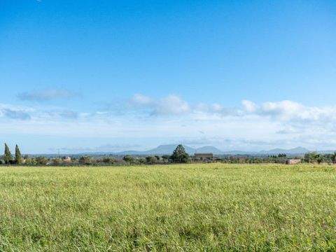 Sencelles Grundstücke, Sencelles Grundstück kaufen