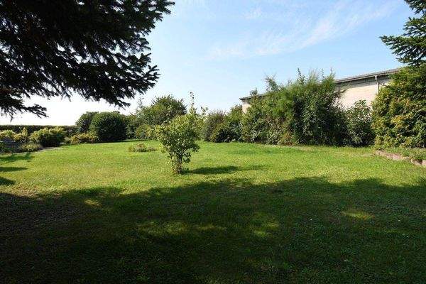 Wiese neben dem Haus