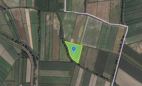 Eggendorf am Wagram Bauernhöfe, Landwirtschaft, Eggendorf am Wagram Forstwirtschaft