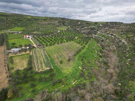 Kreta, Agies Paraskies: Großes Grundstück zu verkaufen