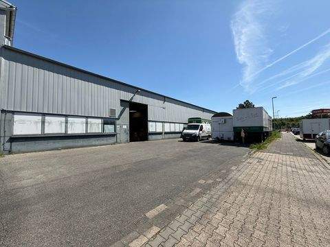 Jülich Halle, Jülich Hallenfläche