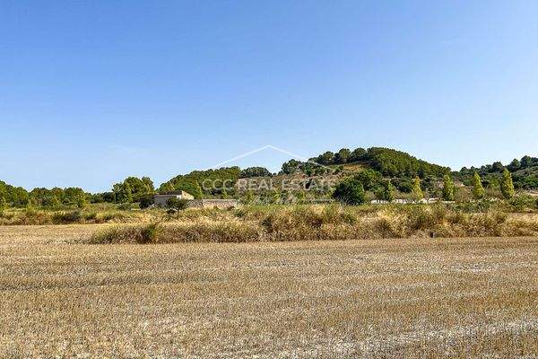 Nachbar mit kleinem Häuschen