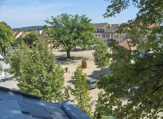  Blick von der Terrasse