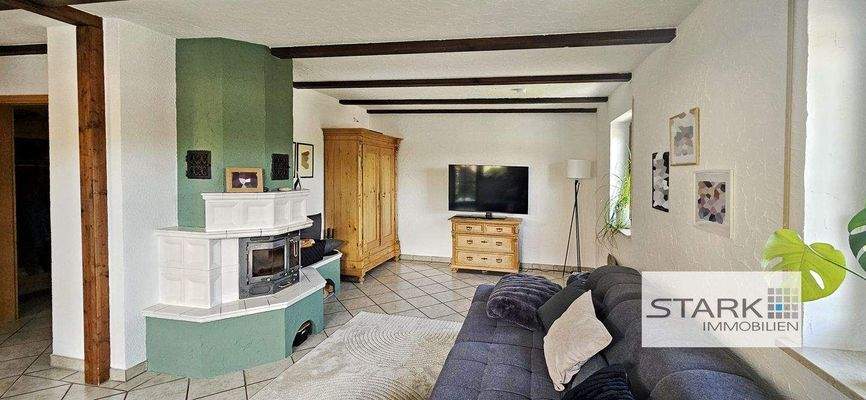 EG Wohnzimmer mit Kamin.jpg