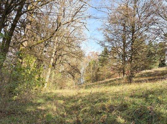  Grundstück-Hanglage