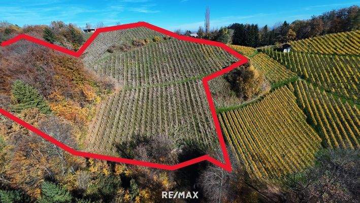 Zone III ungefährer Grenzverlauf