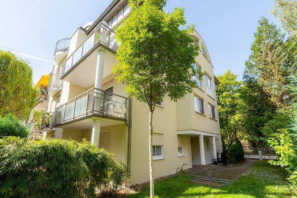 Wohnung im EG links mit Blick zur Terrasse