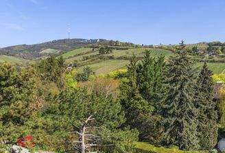 Unterer Schreiberweg 49 | Penthouse