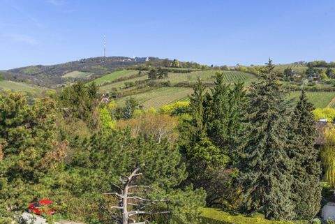 Wien Wohnungen, Wien Wohnung kaufen