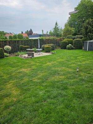 bca84fba-a007-4155-8408-e6907066d68e