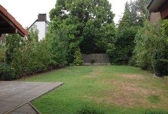 Garten/Bauland 