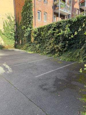 WhatsApp Image 2025-11-05 at 11.01.31 (3).jpeg