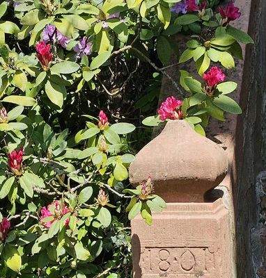 Haupteingang Sandsteintreppe