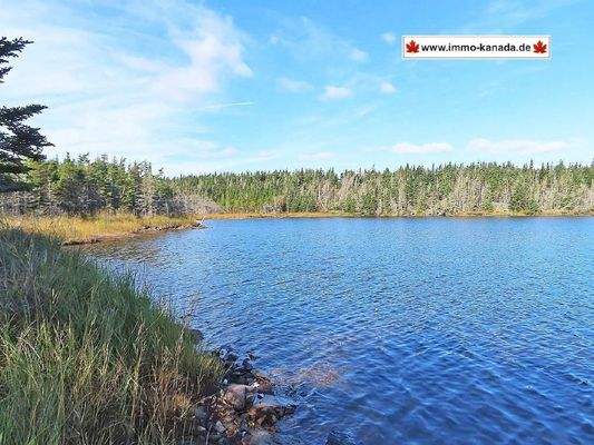 Cape Breton - Belfry Lake - Traumhaft schöne Lage 