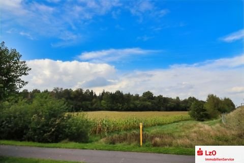 Lohne Bauernhöfe, Landwirtschaft, Lohne Forstwirtschaft