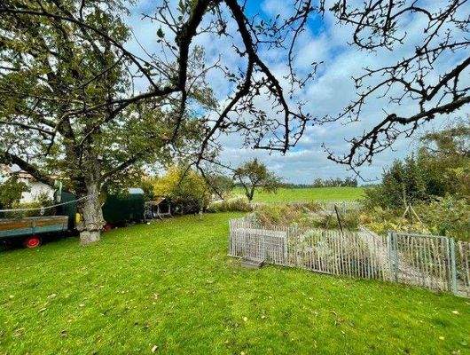 Grundstück Bild 4.jpg