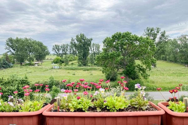 Blick vom Balkon