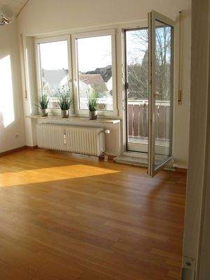 Wohnzimmer Fliegengittertür