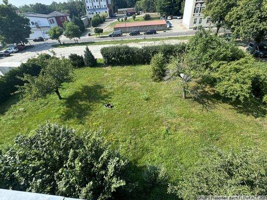 Blick aufs Grundstück