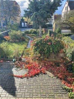 gepflegter Vorgarten