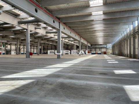 Recklinghausen Halle, Recklinghausen Hallenfläche