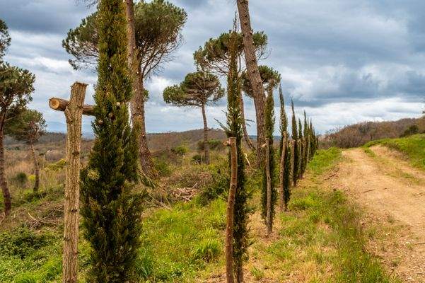 Grundstück Aussenbereich