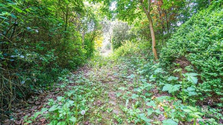 Auffahrt Richtung Einfahrtsstraße