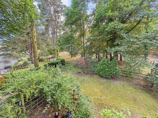 OG Blick in den Garten