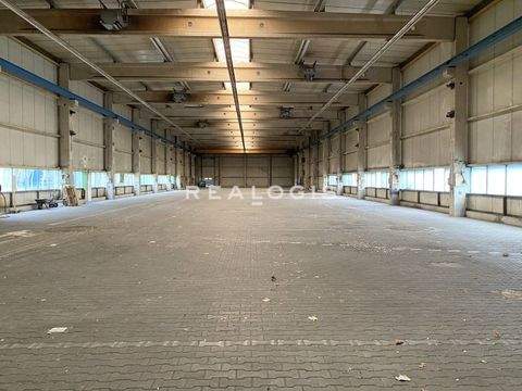 Bochum Halle, Bochum Hallenfläche