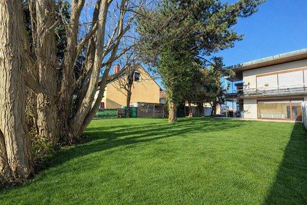 Gestaltungsvorschlag Garten