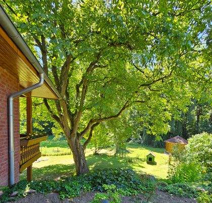 EG: Blick von dieser Terrasse zum Elfengarten
