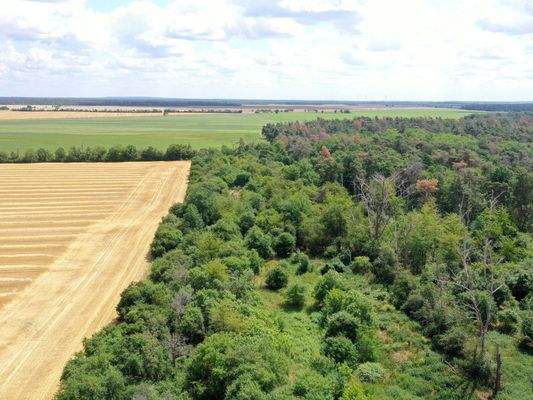 Luftaufnahme - Blick Richtung Osten