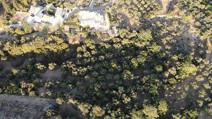 Kreta, Ag. Pavlos: Malerisches Grundstück in der Nähe von Gavalochori zum Verkauf